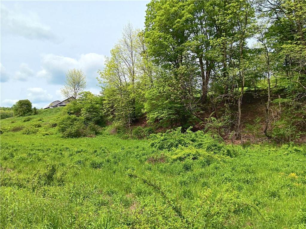 Kiff Brook Road - Photo 1
