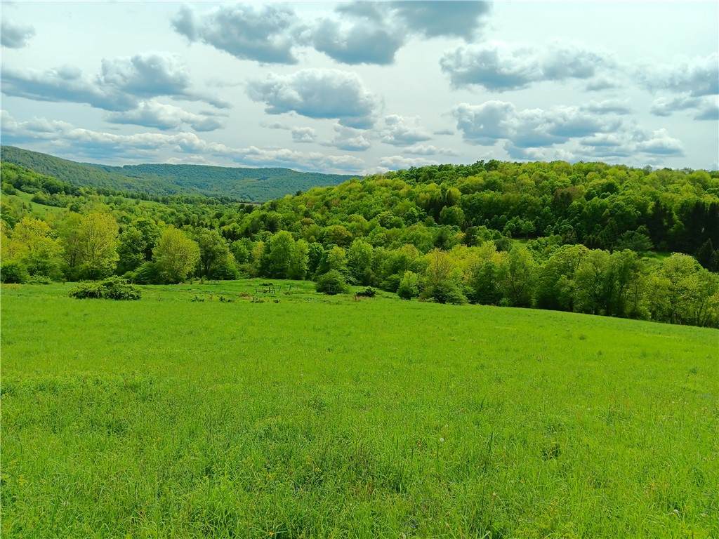 785 Kiff Brook Road - Photo 1