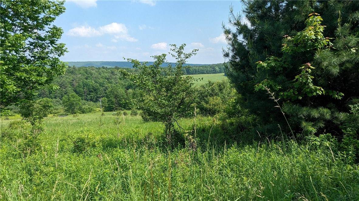 Hubbard Hill Road - Photo 1