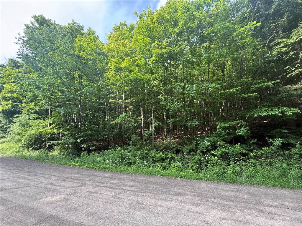 7420 Feather Street - Photo 1