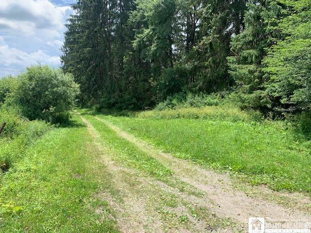 905 Waterman Road - Photo 1