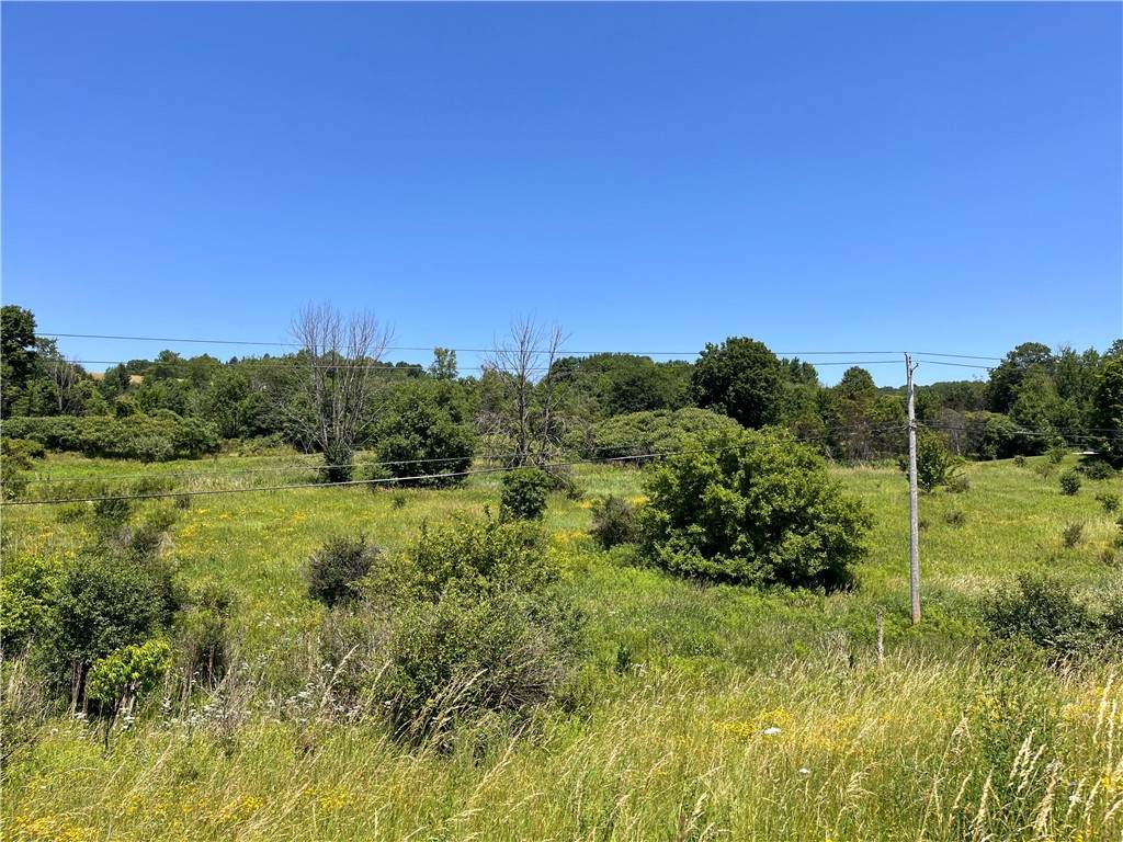 0 Yocum Road - Photo 1