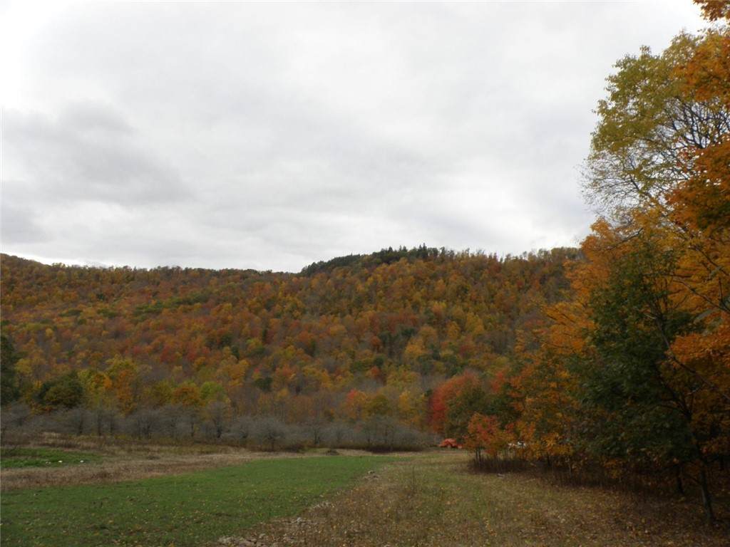 Gregory Hollow Road - Photo 1