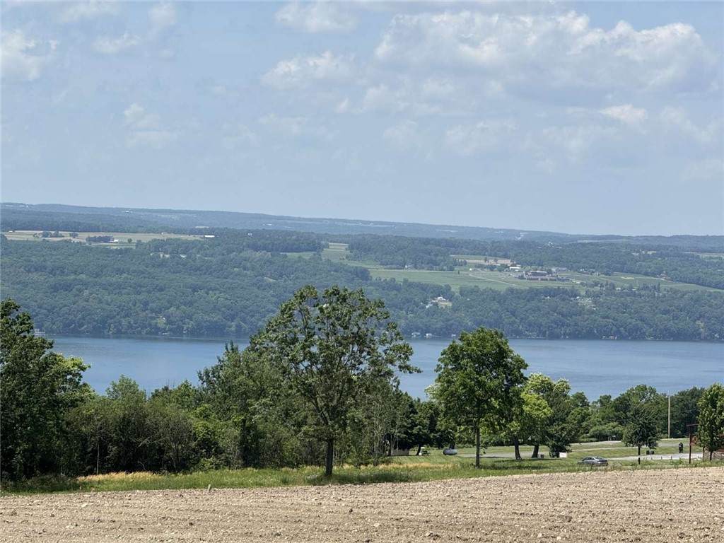 0 Shumway Road - Photo 1