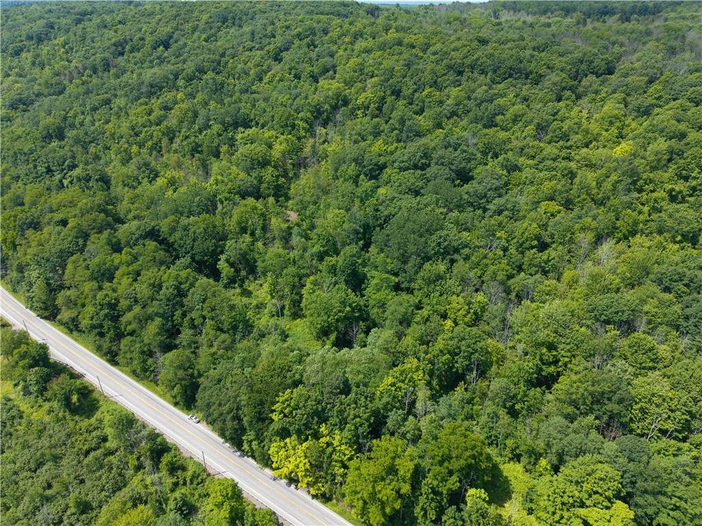 7080 Conesus Springwater Road - Photo 1