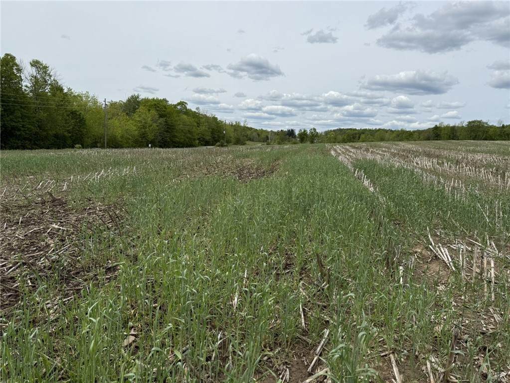 L7.415 County Road 7 - Photo 1