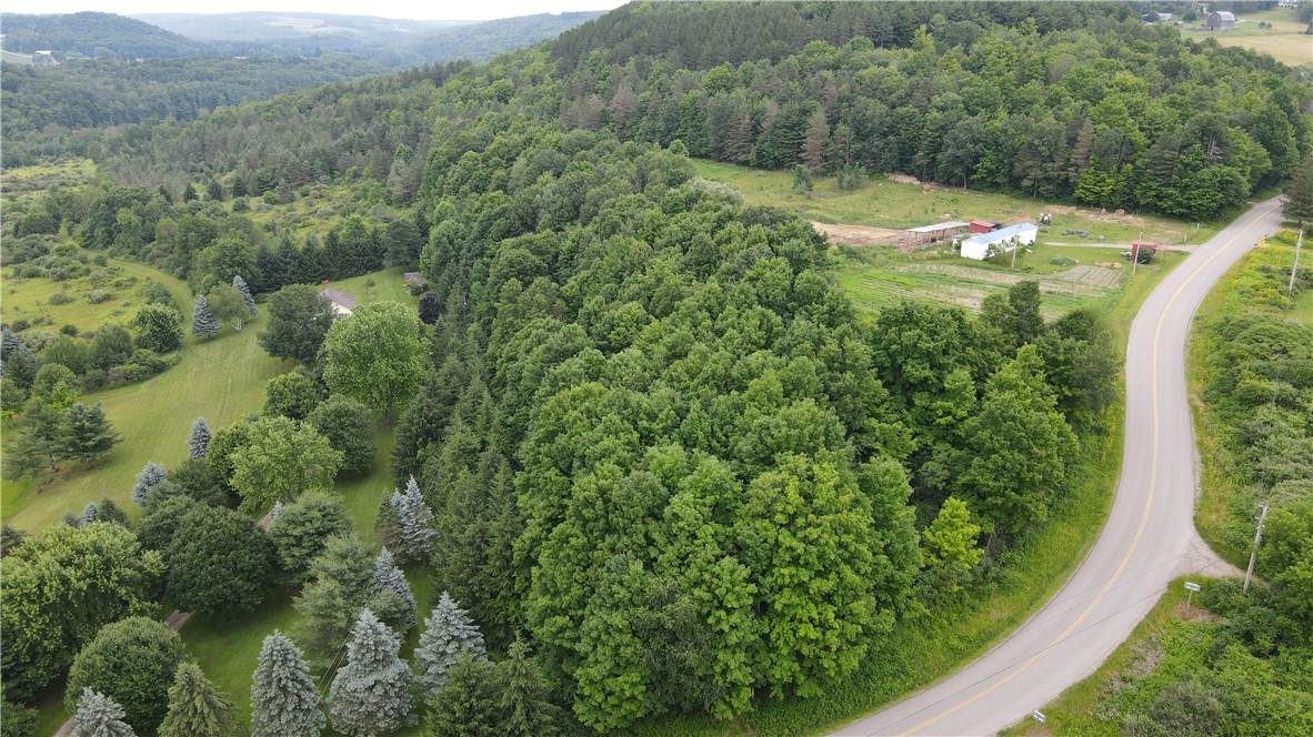 0 Hornell Reservoir Road - Photo 1