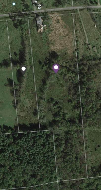 236 Burrows Road - Photo 1