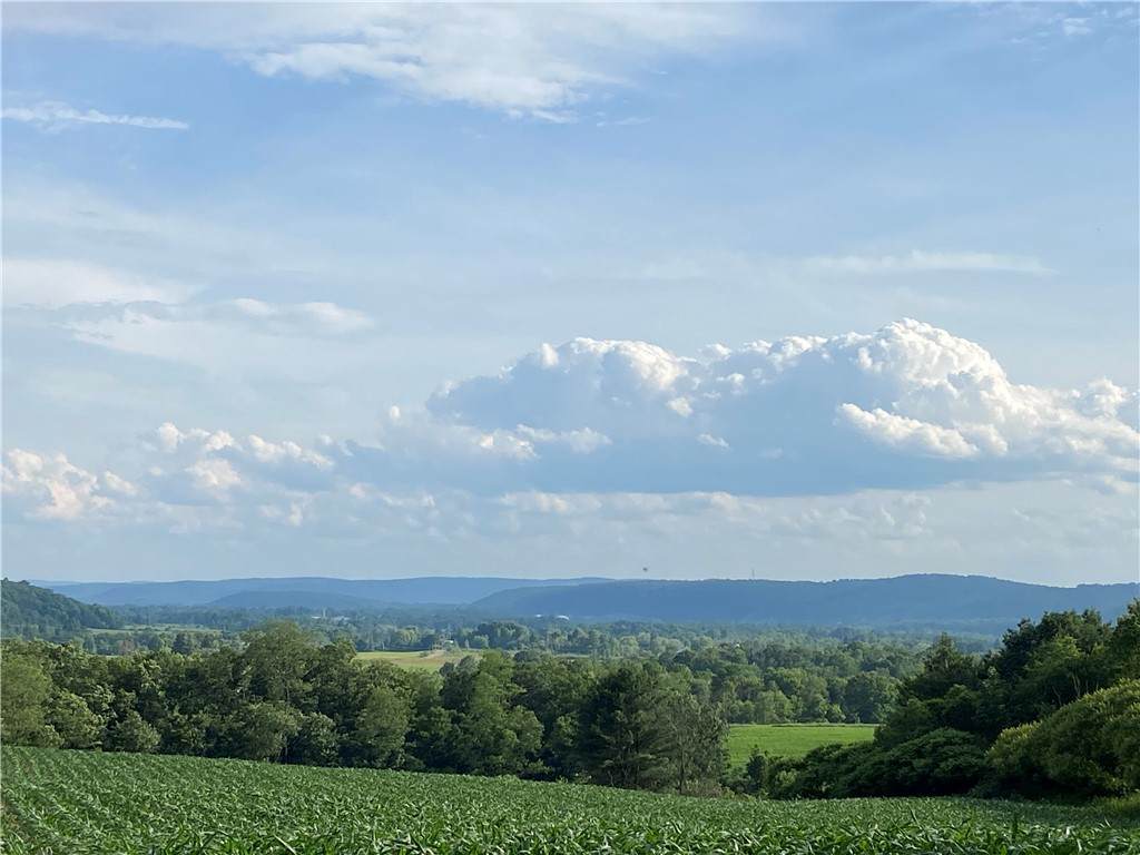 1229B Middle Road - Photo 1