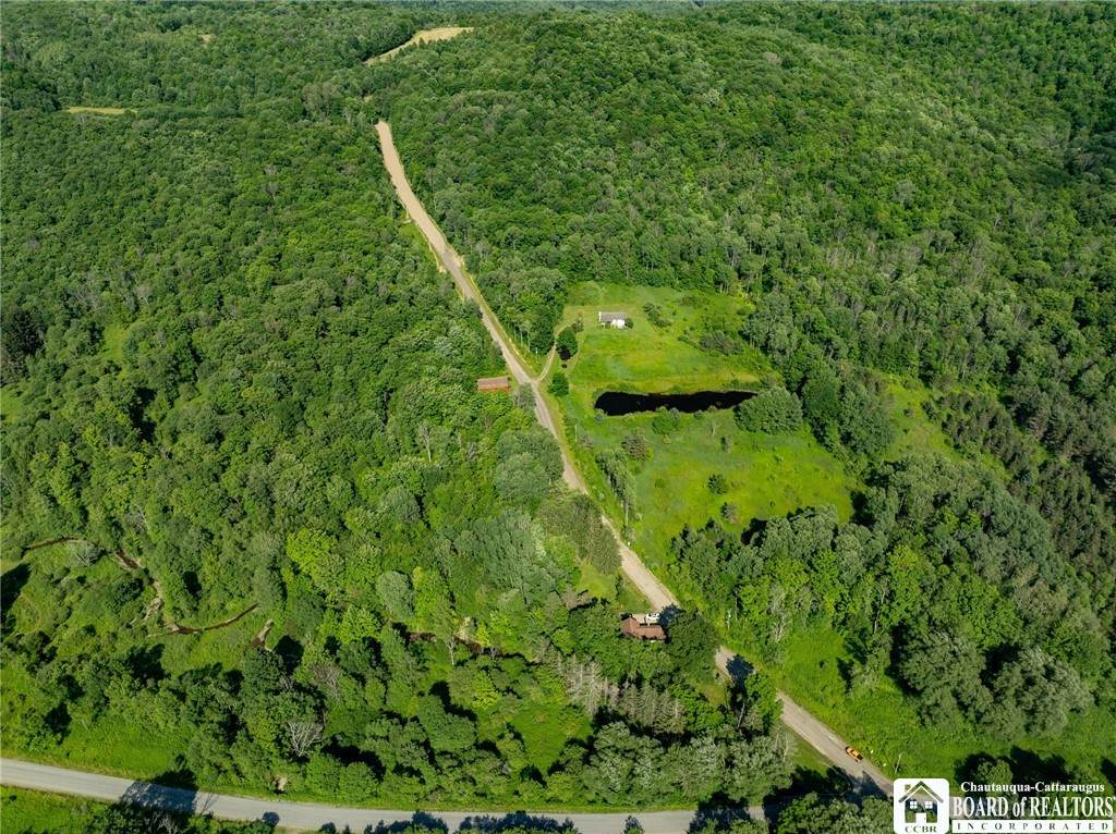 0 Morgan Hollow Road - Photo 1