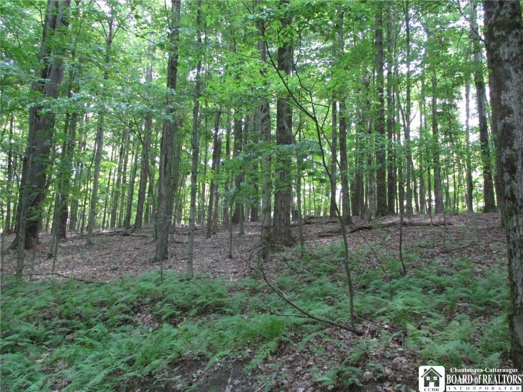  Snowball Hollow Road - Photo 1