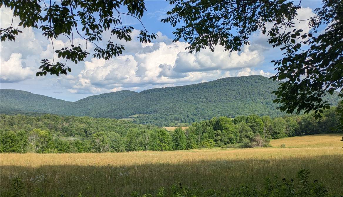 659 West Highland Rd - Parcel 1 Road - Photo 1