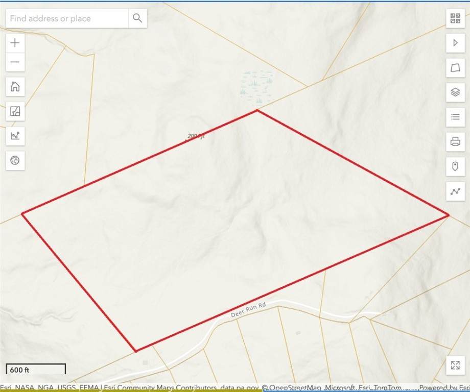  Dry Brook Road - Photo 1