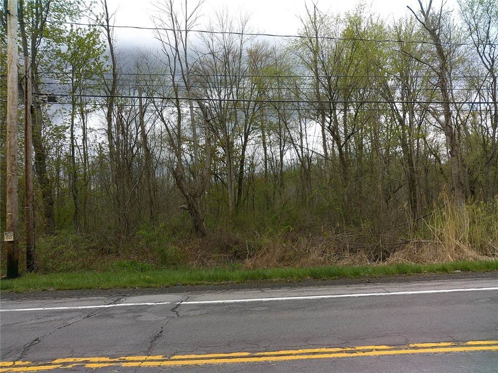 1919 Union Street - Photo 1