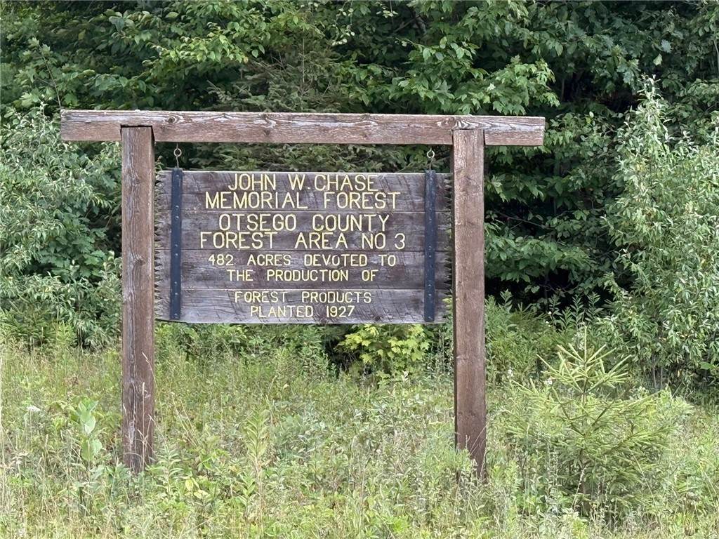  Van Cleef Road - Photo 1