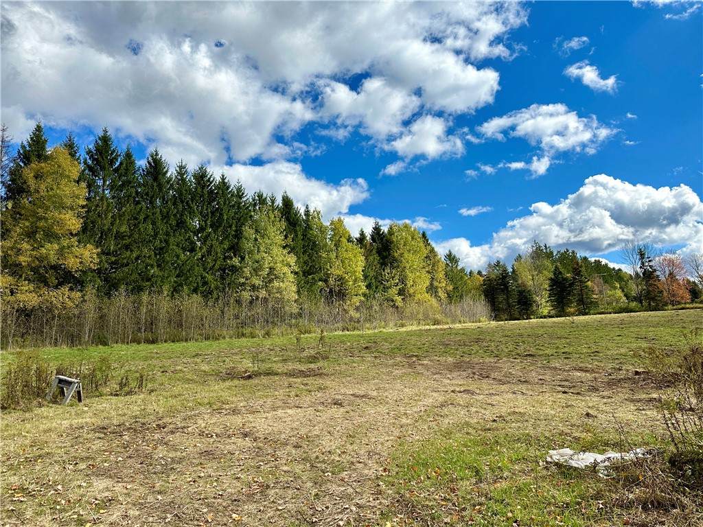 0 Jackson Hill Road - Photo 1