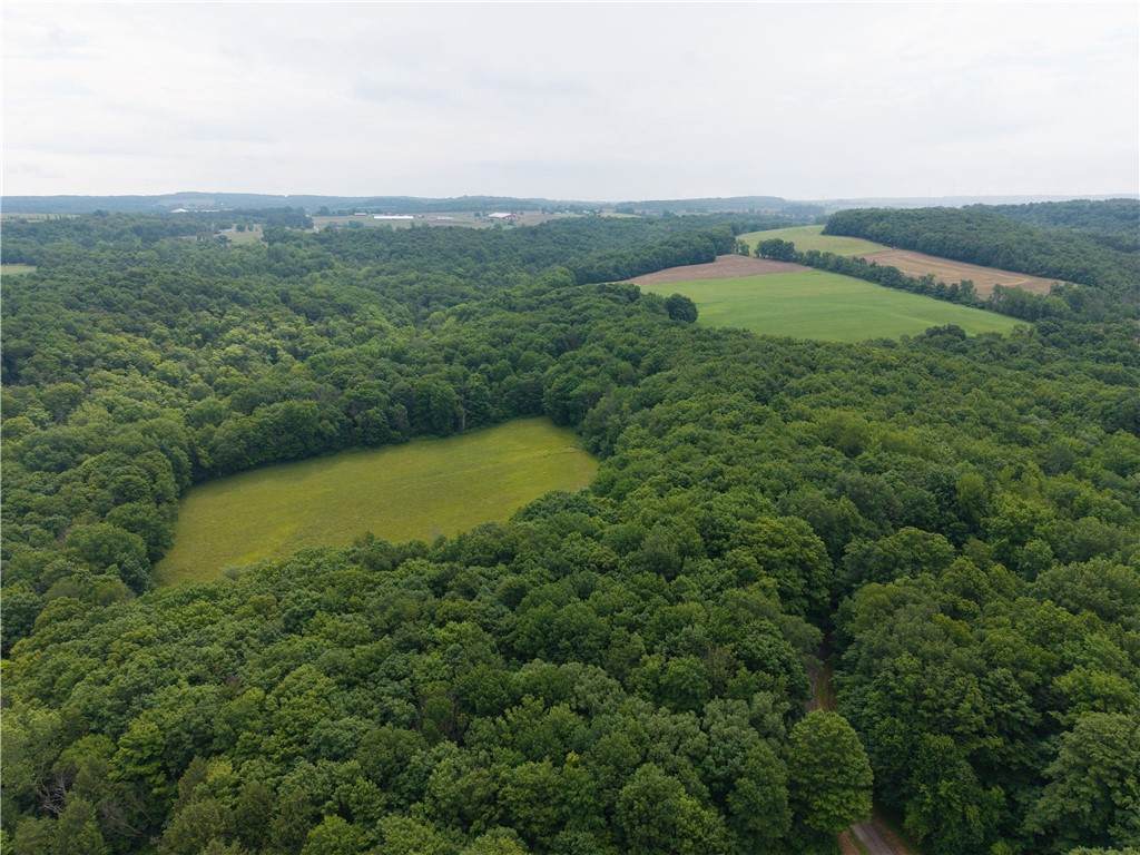 1337 Creek Road - Photo 1