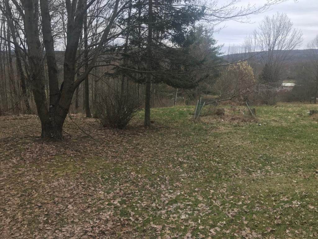 280 Saxby Road - Photo 1