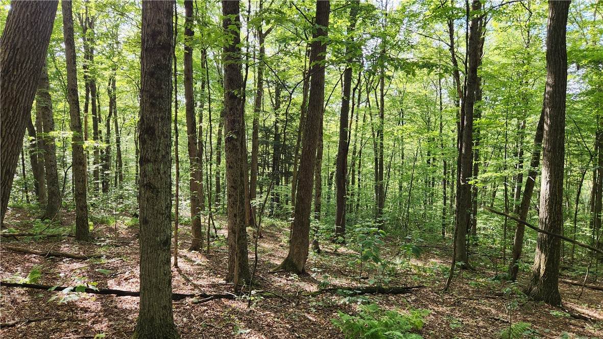 0 Hardknocks Road - Photo 1