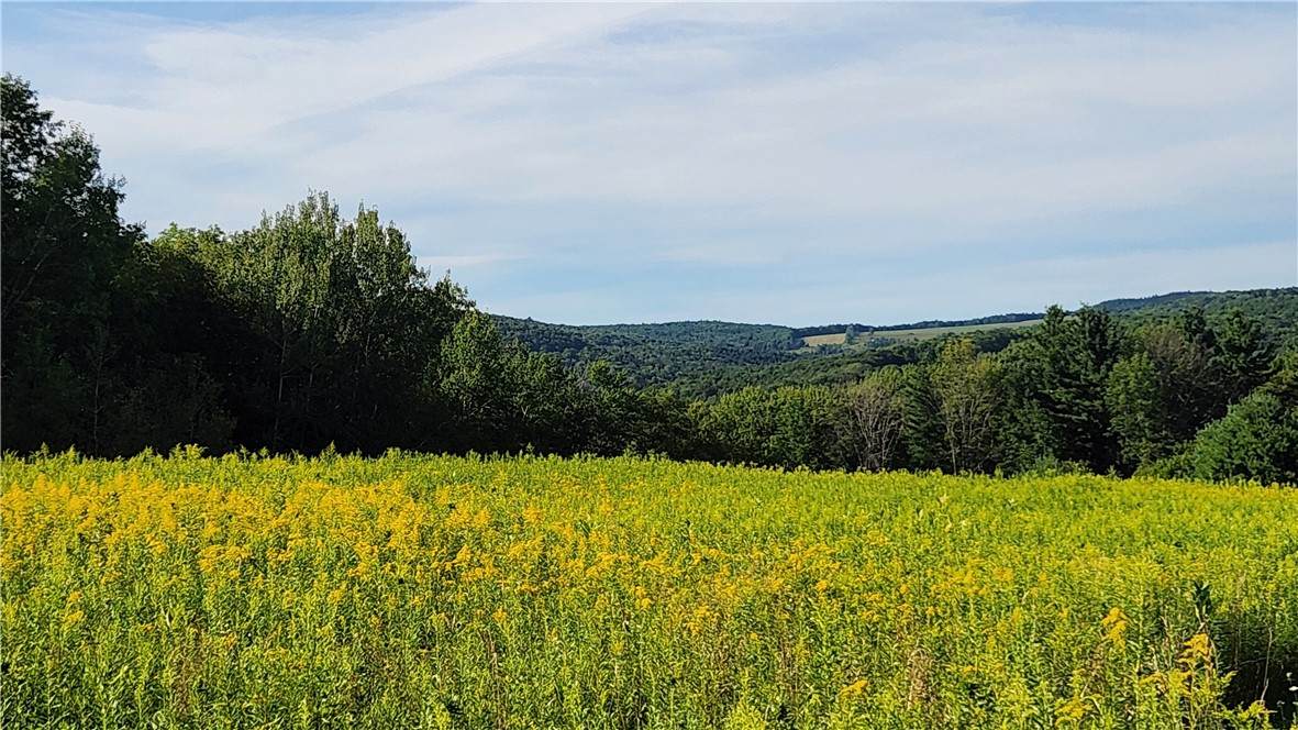 0 Hardknocks Road - Photo 1