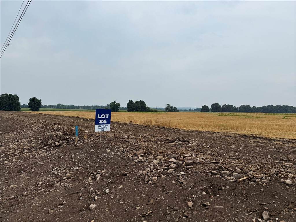 Lot 6 Mile Square Road - Photo 1