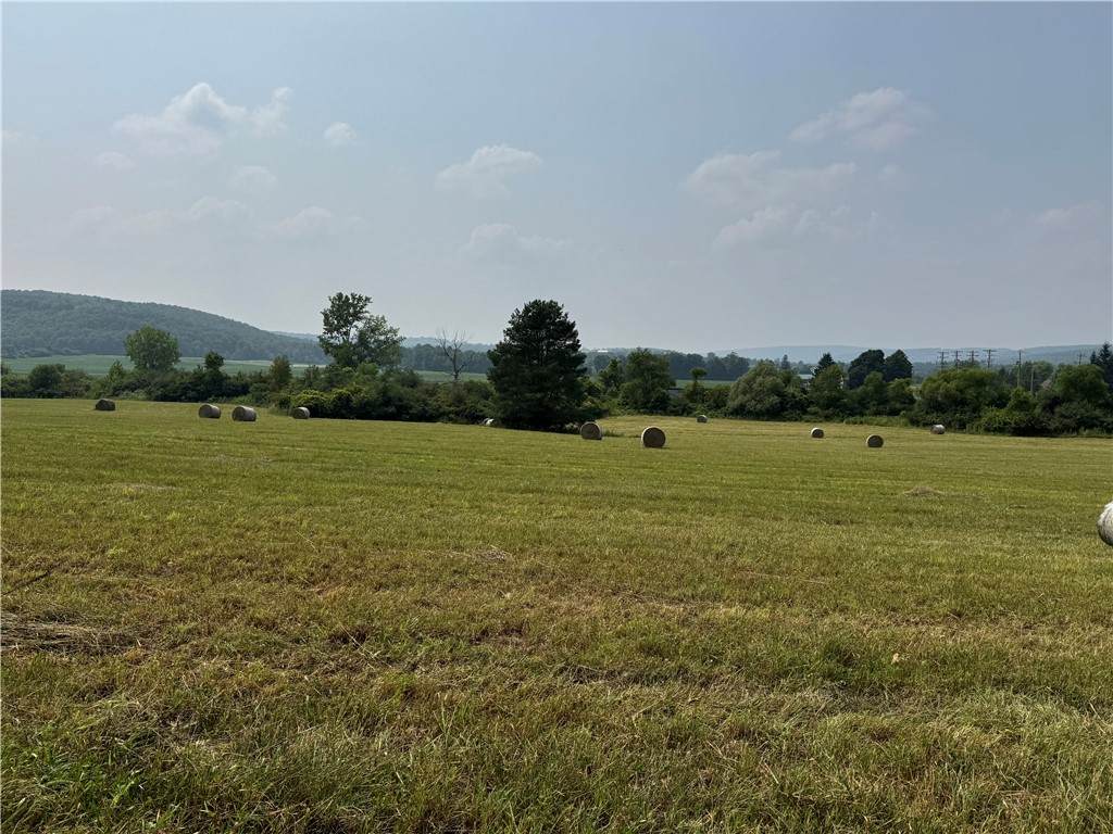 0 Beaver Dams Moreland Road - Photo 1