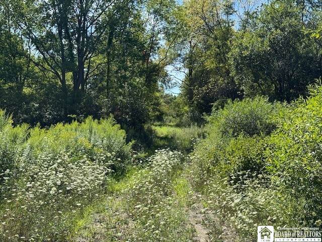  Oak Hill Road - Photo 1