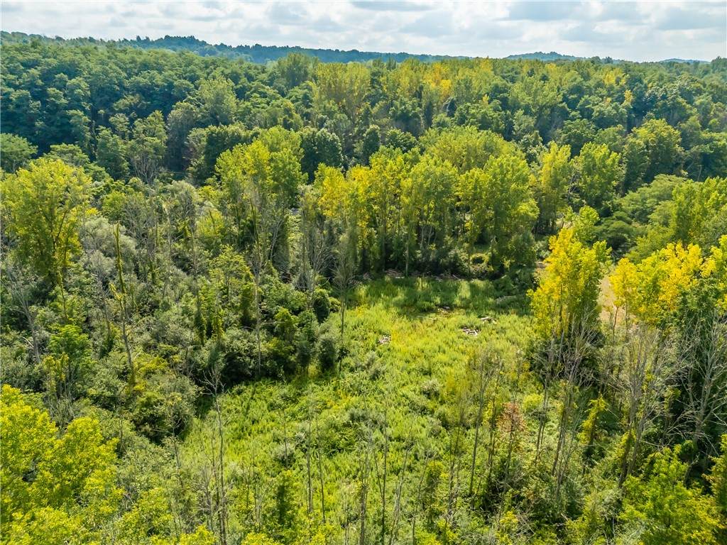 6901 Blue Cut Road - Photo 1