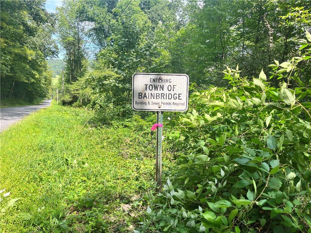 0 Chase Road - Photo 1