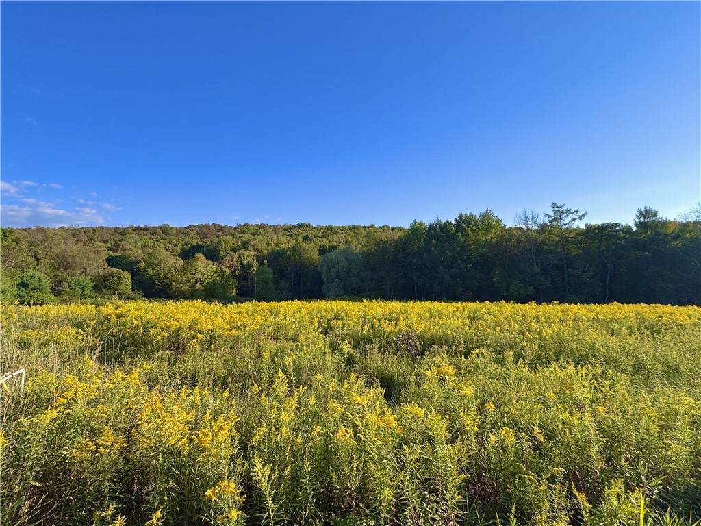 0 Campbell Road - Photo 1