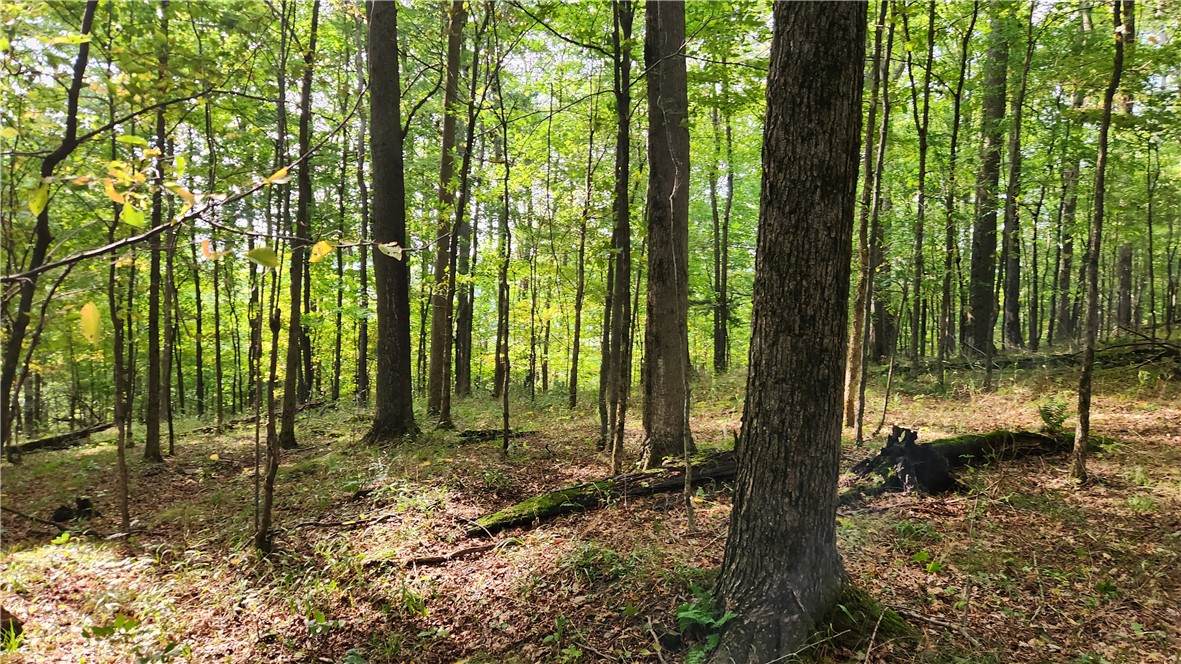  Humphrey Road - Photo 1