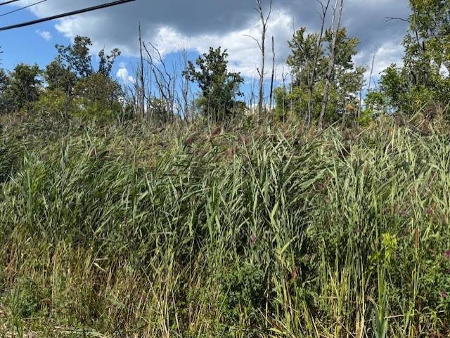 1366 Westside Drive - Photo 1