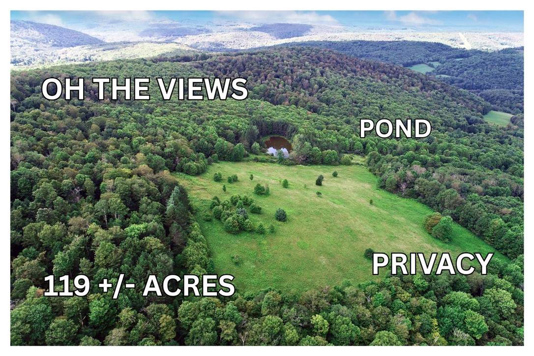 165 Ridge Road - Photo 1