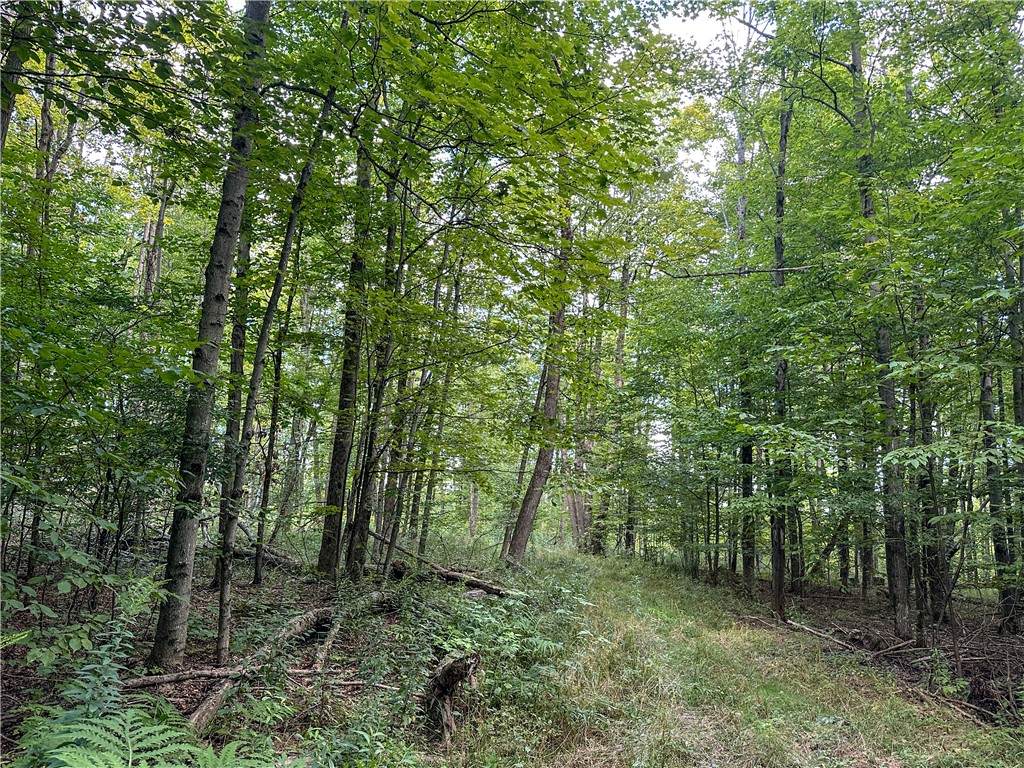 8190 Billing Drive - Photo 1