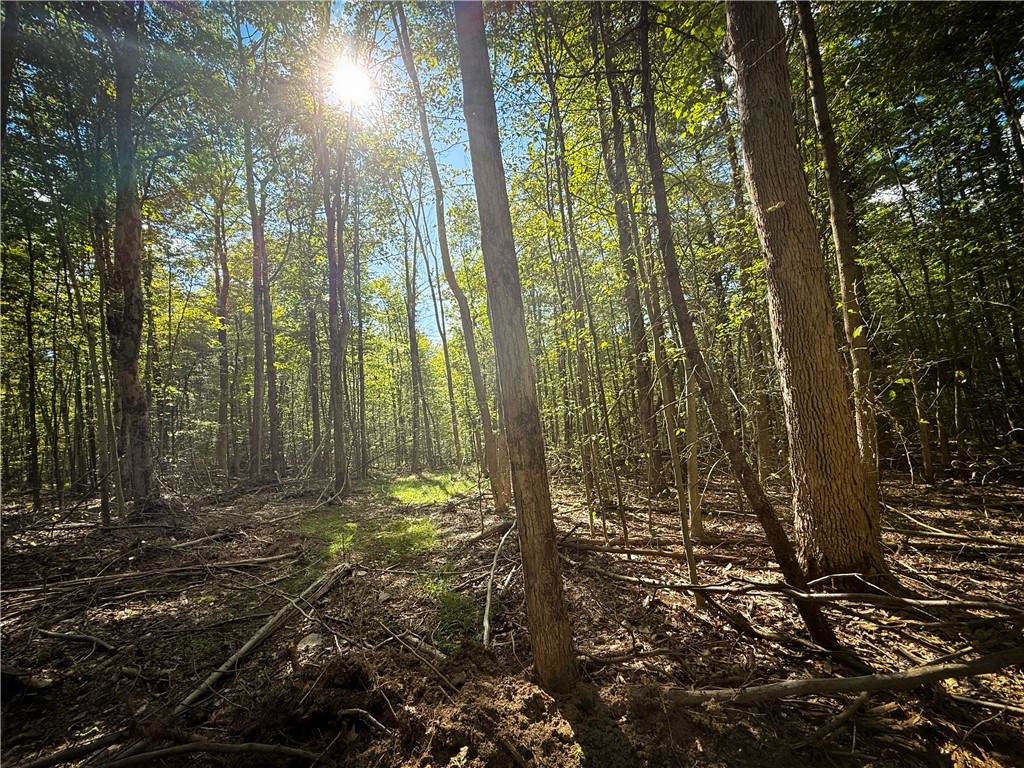  Hollister Road - Photo 1