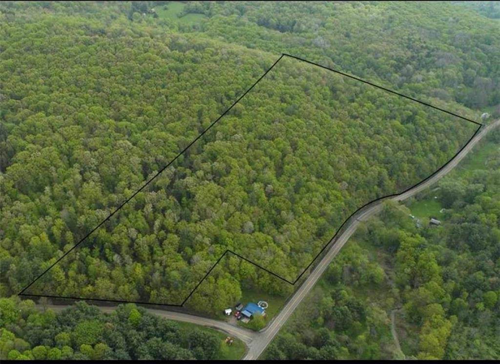 0 Johnson Hollow & Buck Mountain Road - Photo 1