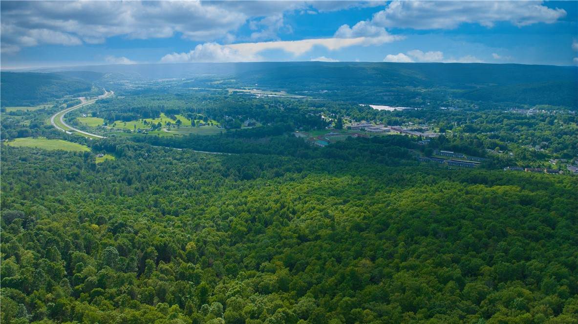 0 Pine Hill Road - Photo 1