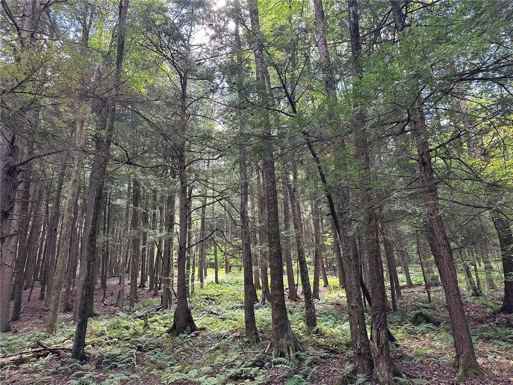 848 Ouaquaga Road - Photo 1