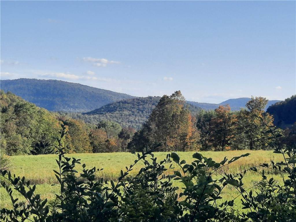 TBD Lower Dingle Hill Road - Photo 1