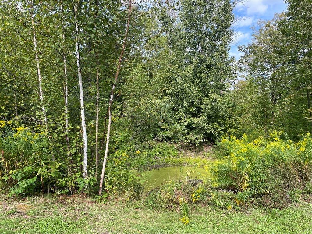 421 Welch Road - Photo 1