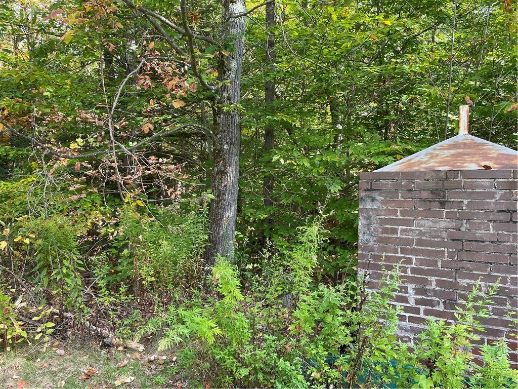 https://bt-photos.global.ssl.fastly.net/rochester/orig_boomver_1_R1642184-2.jpg