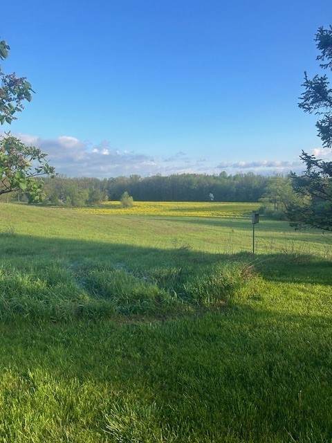 1129 Cheese Factory - Photo 1