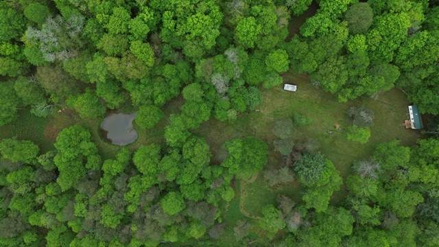 2564 Moore Hill Road - Photo 1