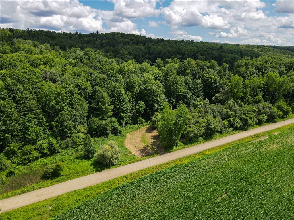 VL Otis Smith Road Road - Photo 1