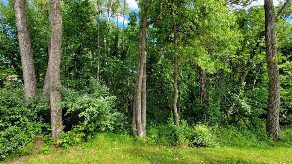 00 Dana Shores Drive - Photo 1