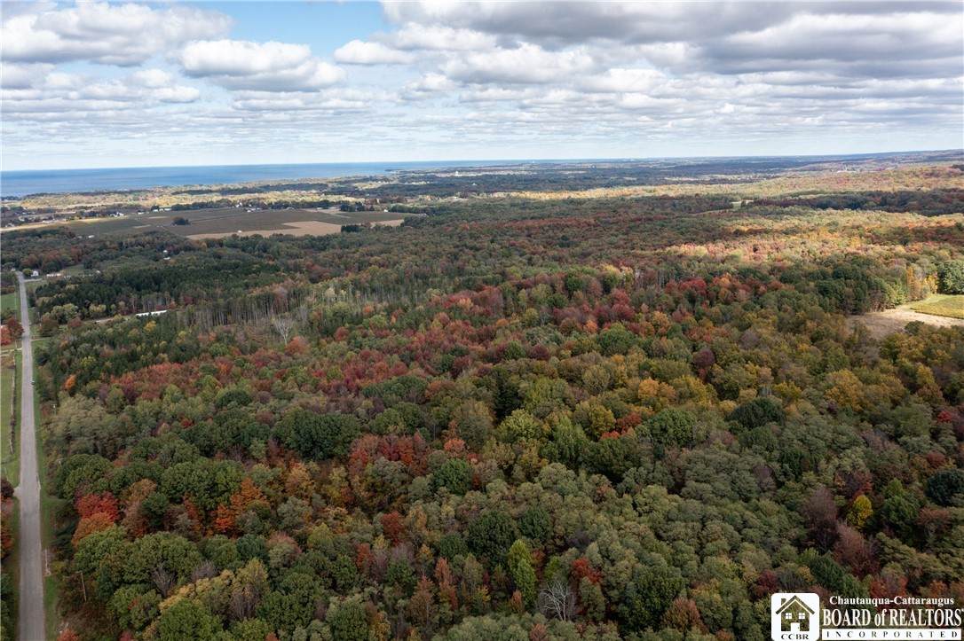 8170 Campbell Road - Photo 1