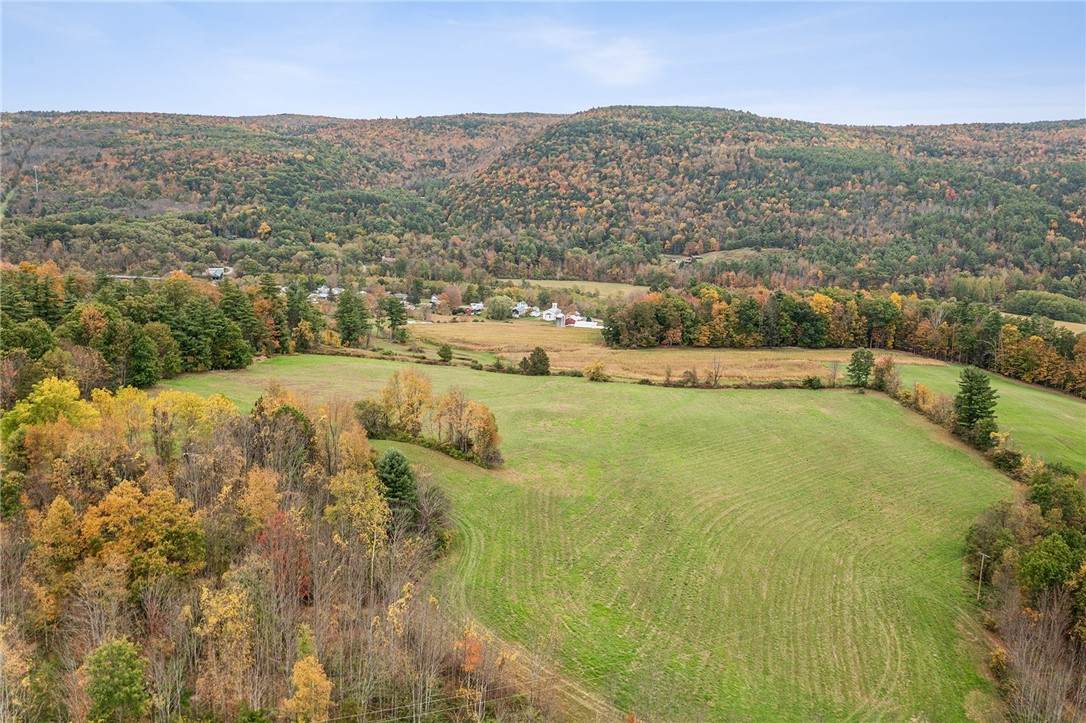 171 Westkill Road - Photo 1