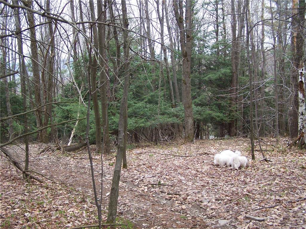 https://bt-photos.global.ssl.fastly.net/rochester/orig_boomver_1_R1648428-2.jpg