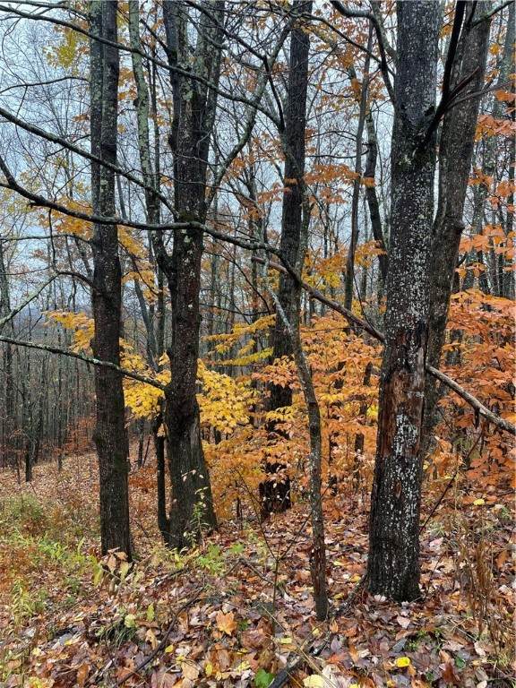 16 Silver Mine Road - Photo 1