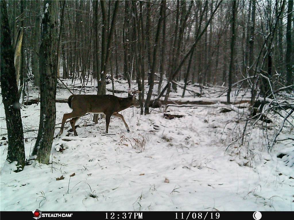 https://bt-photos.global.ssl.fastly.net/rochester/orig_boomver_1_R1650195-2.jpg